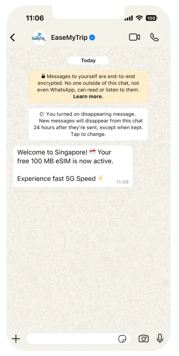 WhatsApp delivery